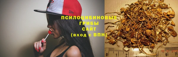 стафф Абинск