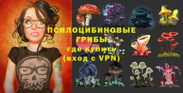 стафф Абинск
