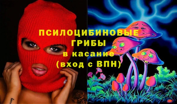 ПСИЛОЦИБИНОВЫЕ ГРИБЫ Абдулино