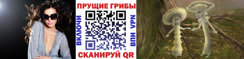 Псилоцибиновые грибы Cubensis  hydra ссылка  Троицк 